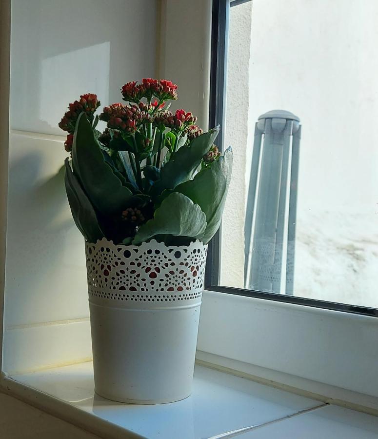 Cozy Studio In Central Lisboa Ngoại thất bức ảnh